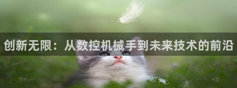 天辰娱乐平台地址在哪里