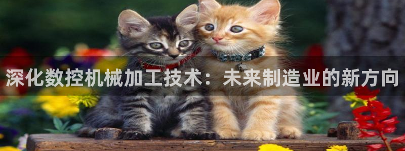 天辰娱乐小妹