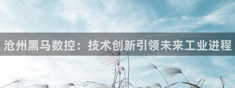 天辰娱乐39596