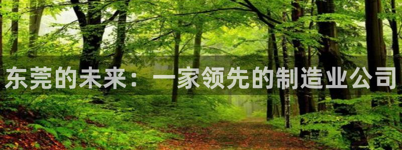 天辰娱乐上级