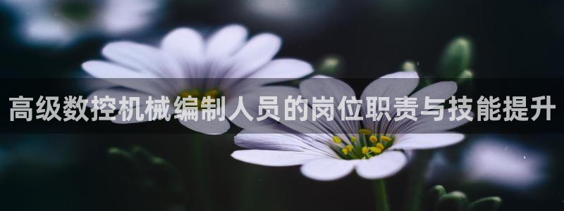 天辰娱乐appxi