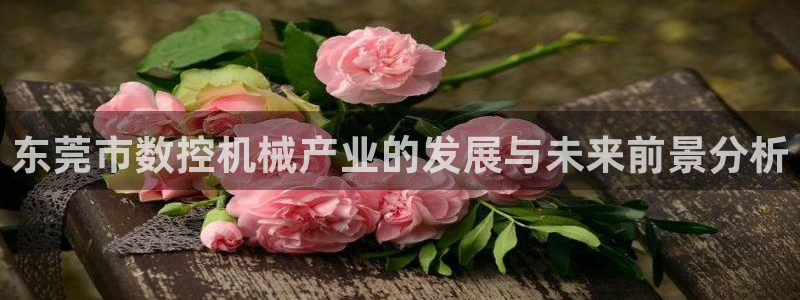 天辰娱乐首选
