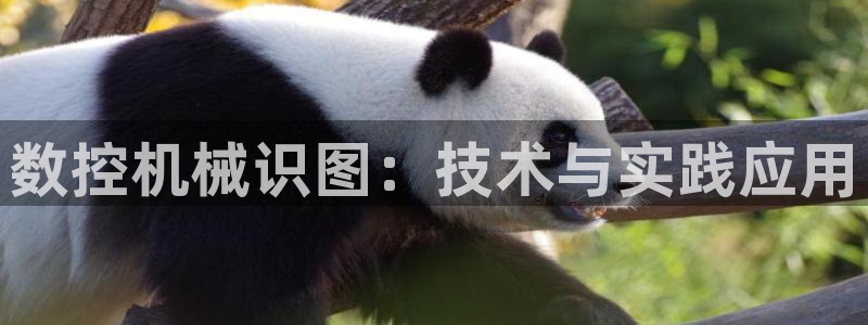 天辰登陆娱乐
