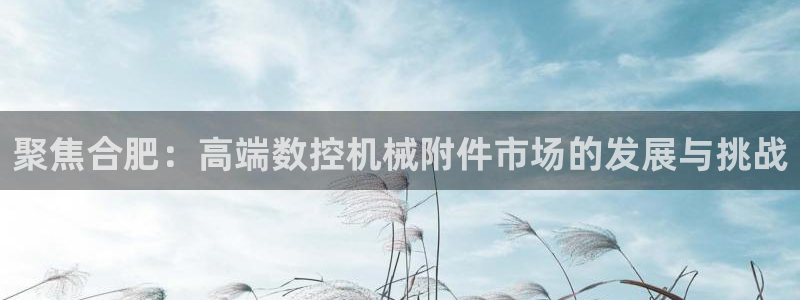 天辰娱乐游客