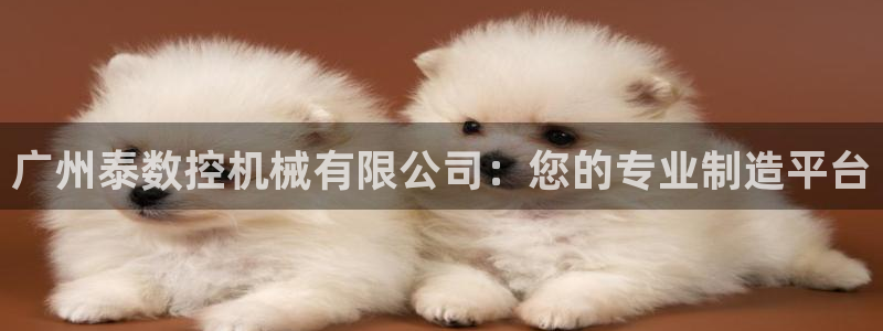 天辰娱乐电话