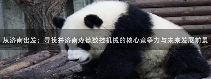 天辰娱乐传媒