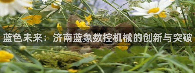 常州天辰娱乐
