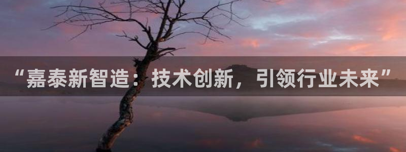 天辰娱乐天辰宝