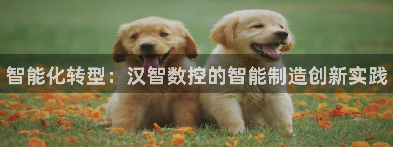 天辰娱乐