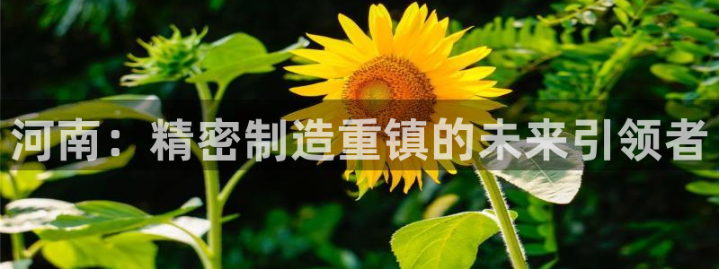 天辰娱乐论坛