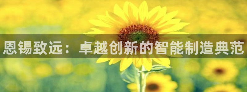 天辰娱乐服务