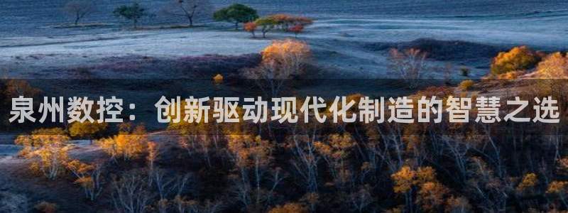 天辰娱乐老板