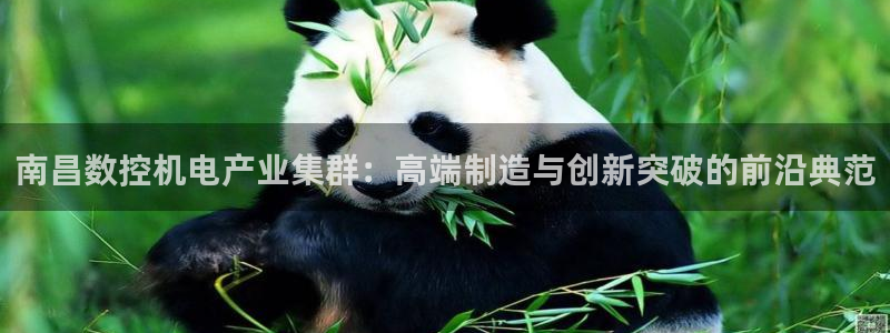天辰娱乐新