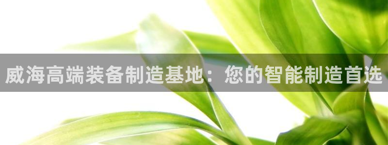 菲律宾天辰娱乐