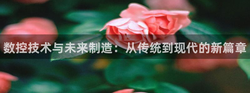 天辰天富娱乐