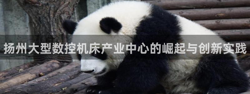 天辰娱乐的网址首页
