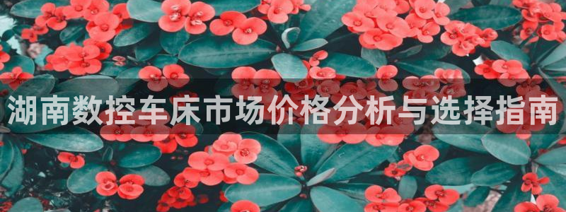 天辰水娱乐