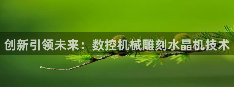 天辰娱乐维护