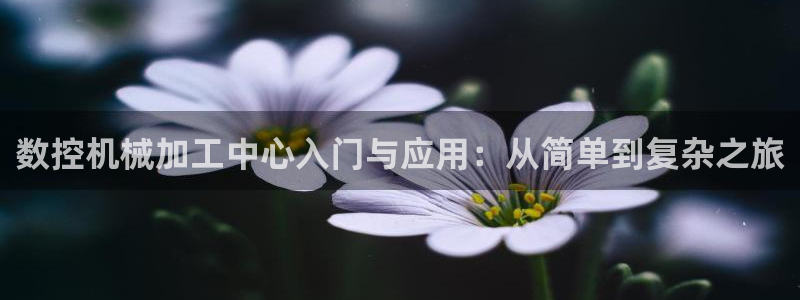 天辰娱乐appxi