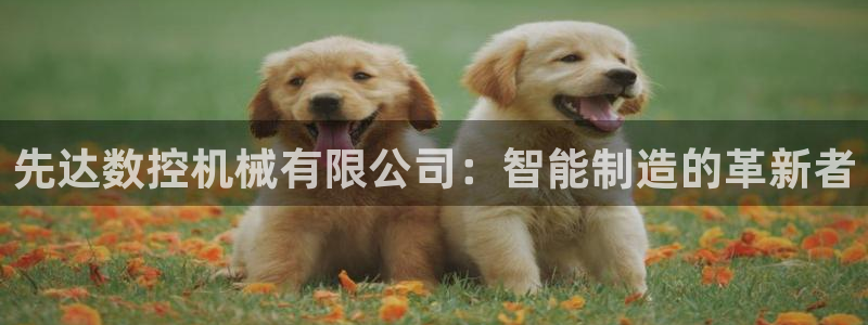 辰天娱乐