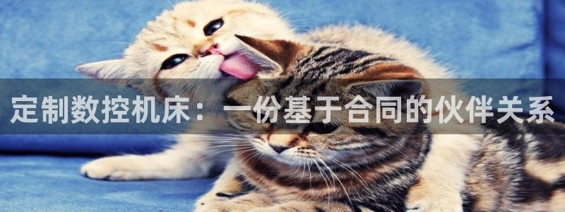 天辰娱乐2