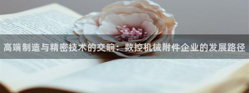 天辰娱乐挂机