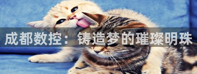 天辰娱乐728567