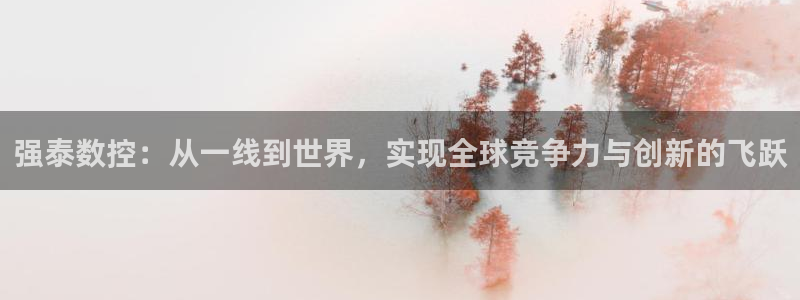 天辰娱乐所