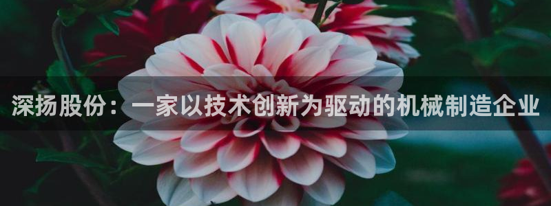天辰娱乐平台地址