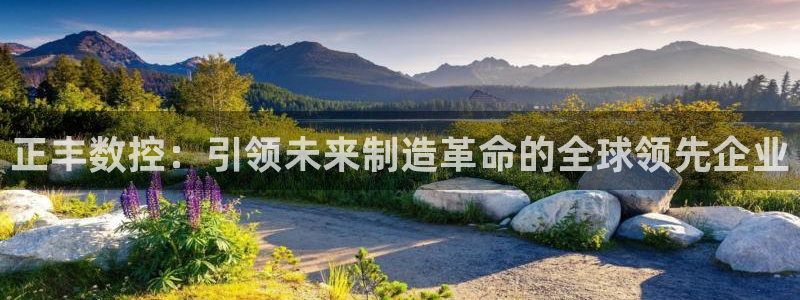 天辰娱乐平台地址