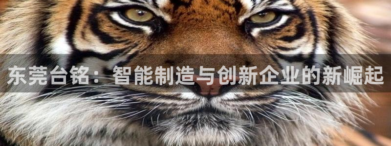 天辰娱乐电话