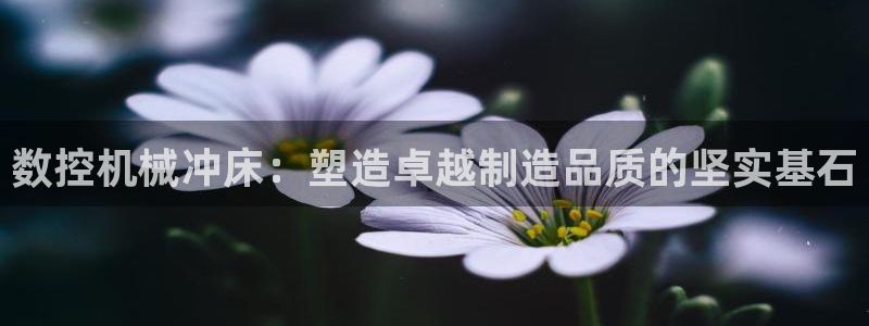 天辰娱乐指尖所