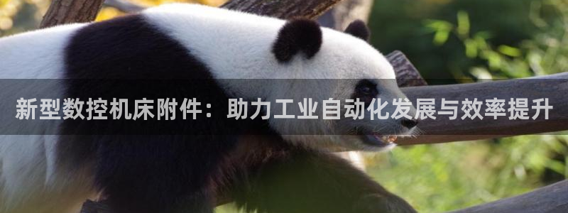 天辰娱乐服务