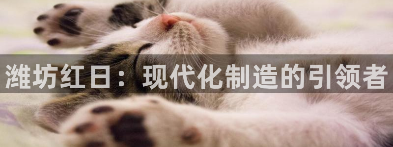 天辰娱乐best：潍坊红日：现代化制造的引领者