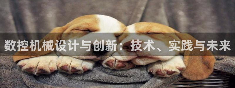 天辰娱乐链接