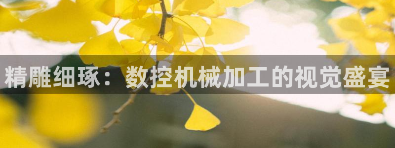 天辰娱乐登陆平台