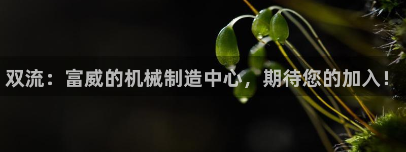 天辰娱乐 18113