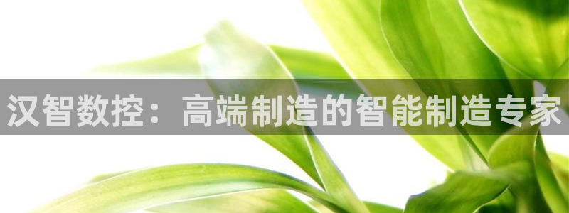 天辰娱乐新闻：汉智数控：高端制造的智能制造专家