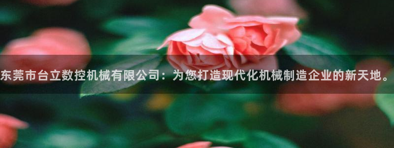 天辰娱乐小妹：东莞市台立数控机械有限公司：为您打造现代化机械制造企业的新天地。