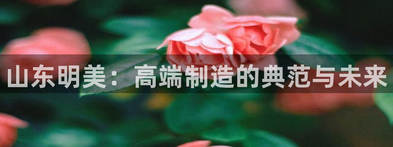 天辰娱乐棋牌