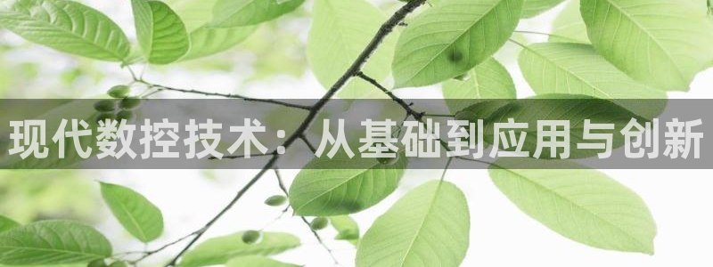 天辰娱乐1996