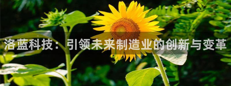 天辰娱乐下载链接