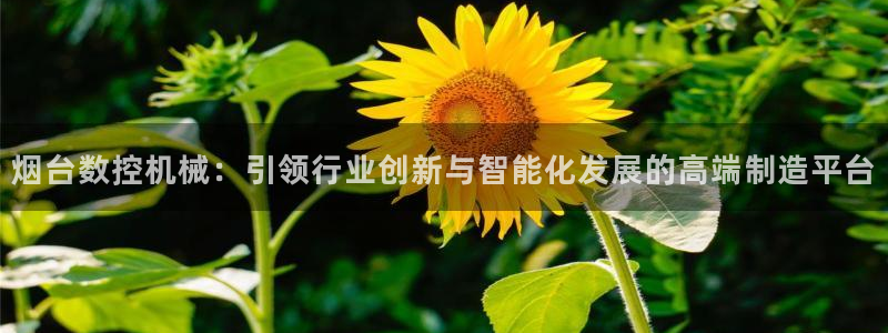 深圳天辰娱乐
