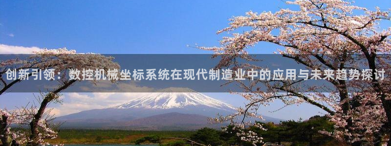 天辰娱乐输了
