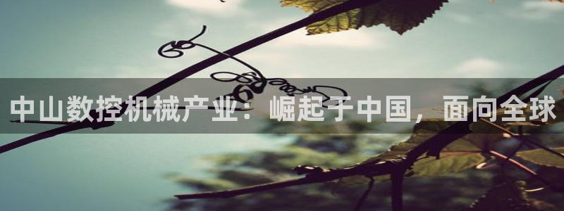天辰娱乐公司