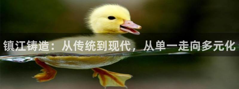 天辰娱乐官方网