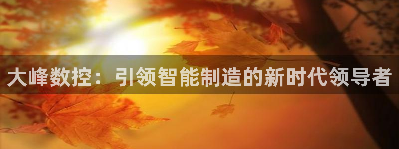 大同天辰娱乐
