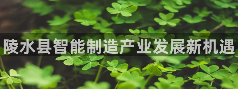 天辰娱乐登陆