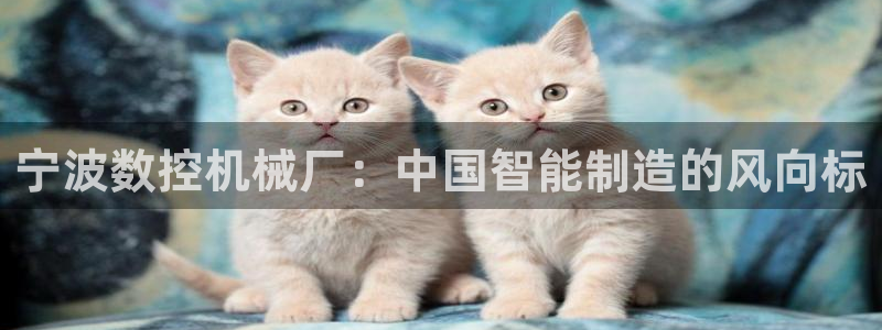 天辰娱乐网址娱乐游戏