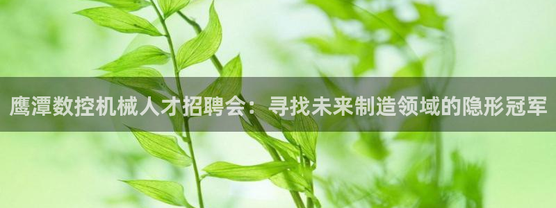 天辰娱乐输了